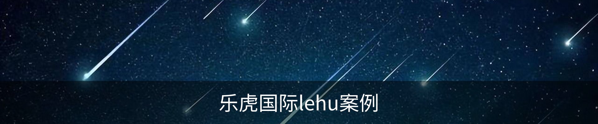 乐虎国际lehu案例